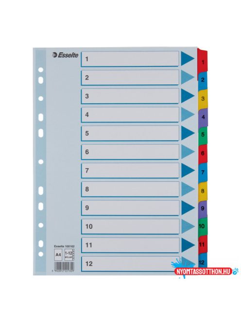 Esselte MYLAR regiszter 1-12, A4