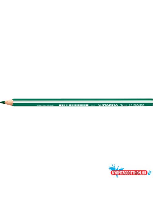Színes ceruza vastag háromszögletû STABILO TRIO 203/530 zöld