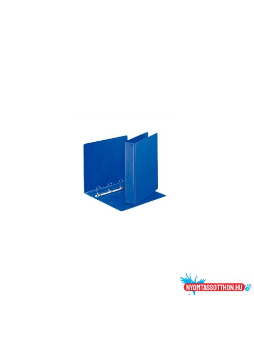Gyûrûskönyv panorámás A4, 6,5cm, 4 gyûrû, D alakú, PP Esselte kék