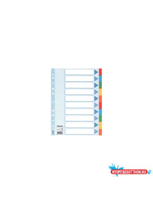 Regiszter A4, 10 részes karton írható elõlappal Esselte Standard színes