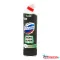 WC vízkõoldó 750 ml Domestos Zéró Lime