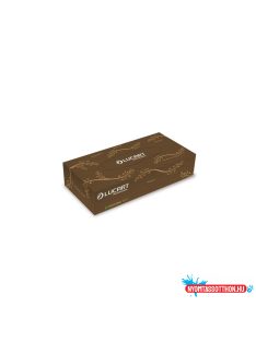   Kozmetikai kendõ 2 rétegû havanna barna 100 lap/doboz EcoNatural 100V