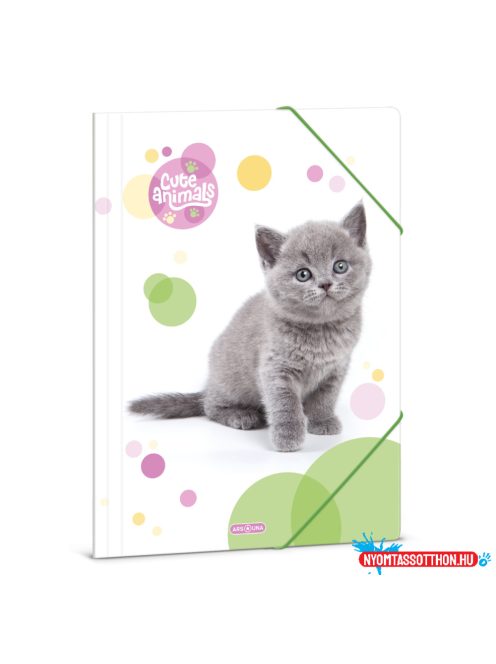 Ars Una Cuki Állatok-Brit rövidszőrű macska A/4 dosszié