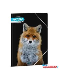 Ars Una Máté Bence-Fox A/4 gumis dosszié