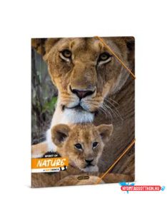 Ars Una Máté Bence-Lion A/4 gumis dosszié