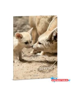 Ars Una Serenity-Desert fox A/4 gumis dosszié