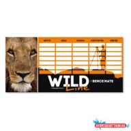 Ars Una Máté Bence Wild Life Moments órarend