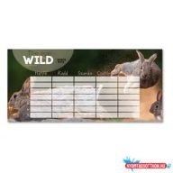 Ars Una Máté Bence The Eyes of the Wild órarend