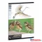 Ars Una Máté Bence Wild Life Moments-2 A/5 leckefüzet
