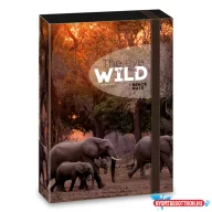   Ars Una Máté Bence The Eyes of the Wild - Elephant A/4 füzetbox