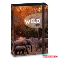 Ars Una Máté Bence The Eyes of the Wild A/5 füzetbox