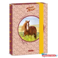 Ars Una My Sweet Horse A/5 füzetbox