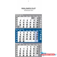   Falinaptár speditőr 1 tömbös 12 lapos 300mmx480mm, üres fejlappal kék Realsystem 2026.