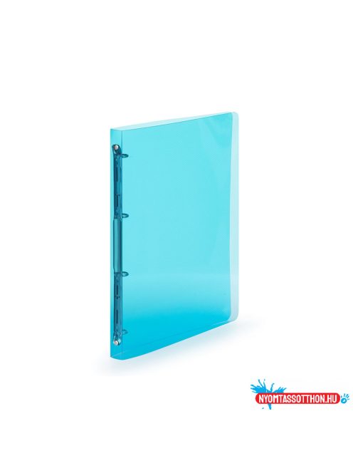 Gyűrűskönyv A4, 4 gyűrűs 2cm gerinc áttetsző PP,  Karton P+P Lines kék