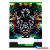   Füzet, A5, 4. osztályos vonalas, 21-32, Cuki minták, II., 16 db/csomag Nebulo