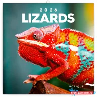   Falinaptár képes lemeznaptár 300x300mm, Lizards Realsystem 2026.