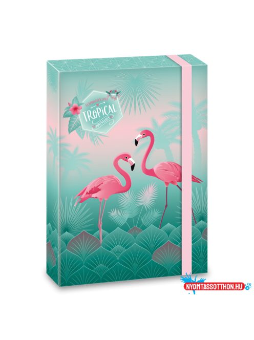 Ars Una Pink flamingo A/4 füzetbox