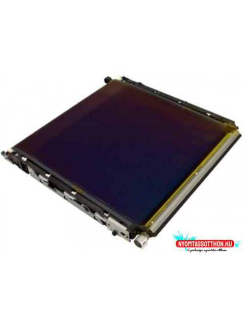 Minolta A161R73311 Transfer Unit (Eredeti)