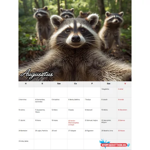 2026 Állati szelfik – Vicces fali naptár (A4)