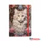 Napló ARGUS B5 keményfedeles(17,6x25 cm) Macska piros gumival 96 lapos 1416-0002