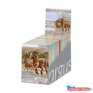 Jegyzetfüzet ARGUS A/6 (48db/disp) Barna vadlovak 1111-0414