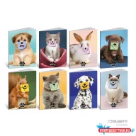  Füzet BLASETTI 8931M A/4 80g vonalas 42lap PETS-IT 2025 /10 db/csg/