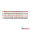 Grafit ceruza ADEL kerek Happy Animals 2B 2061000060000