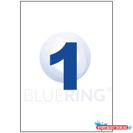 Etikett címke, 210x297mm, 100 lap, 1 címke/lap Bluering(R)