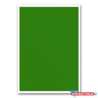 Etikett címke, 210x297mm, 1 címke/lap zöld Bluering(R)