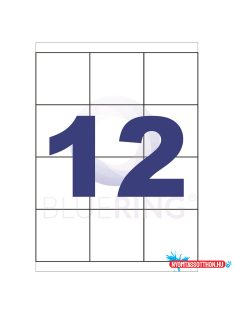 Etikett címke, 70x67,7mm, 100 lap, 12 címke/lap Bluering®