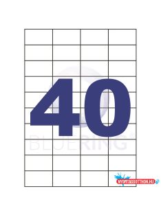   Etikett címke, 52,5x29,7mm, 100 lap, 40 címke/lap Bluering(R)