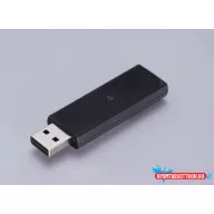 Wireless LAN Interface-P1 (5GHz)
