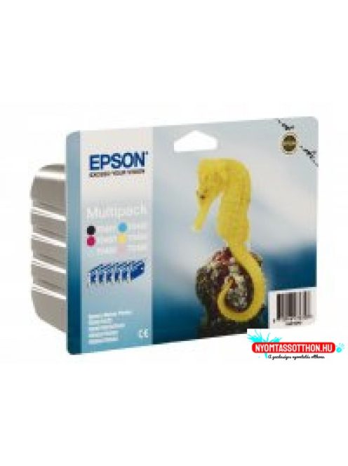 Epson T048B Patron Multipack (Eredeti)