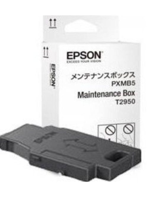 Epson T2950 Maintenance Box (Eredeti)