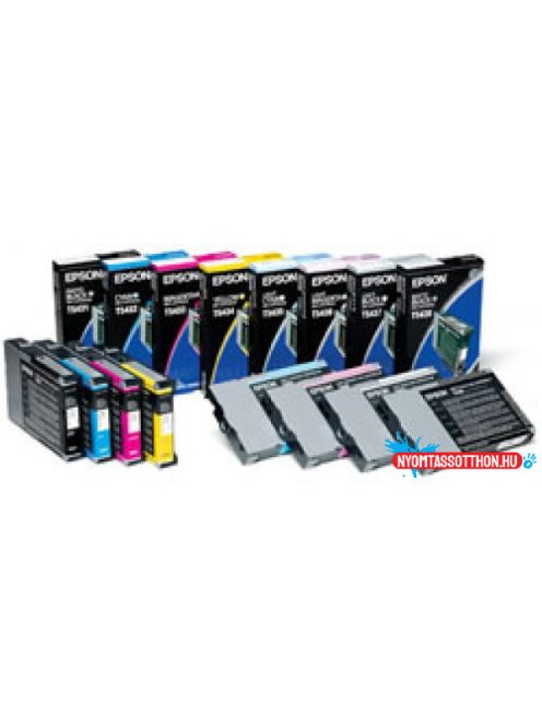 Epson T5911 Patron Photo Black 700ml (Eredeti)