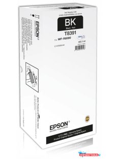 Epson T8391 Patron Bk 20K (Eredeti)