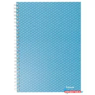   Spirálfüzet, A5, vonalas, 80 lap, ESSELTE "Colour'Breeze", kék
