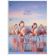   Spirálfüzet, A4+, vonalas, 80 lap, SHKOLYARYK "Soul Stories", vegyes