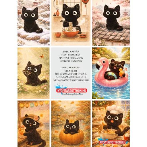 2026 Macskák - fekete macskás fali naptár (A4)