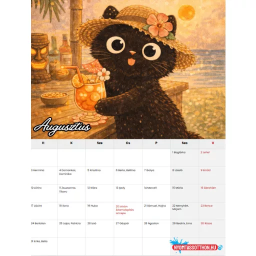 2026 Macskák - fekete macskás fali naptár (A4)