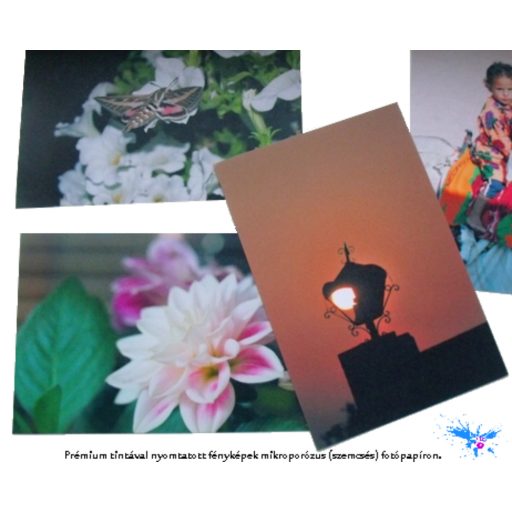 EPSON 1291-1294, 100ml komplett szett (dye)