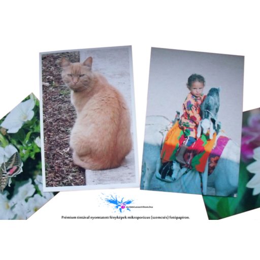 Utángyártott UV ellenálló CL-541/ PG-540 tinta, 100ml komplett szett