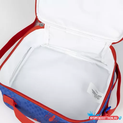 Pókember What's Up thermo uzsonnás táska 22 cm