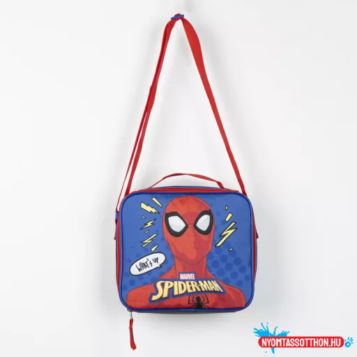 Pókember What's Up thermo uzsonnás táska 22 cm