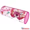 Disney Játékháború Lotso tolltartó 23 cm