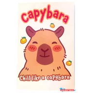 Kapibara Chill B/5 vonalas füzet 40 lapos