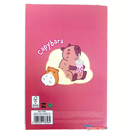 Kapibara Drink B/5 vonalas füzet 40 lapos