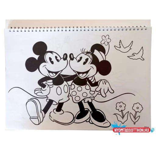 Disney Minnie Nomadic Spirit A/4 spirál vázlatfüzet 40 lapos matricával