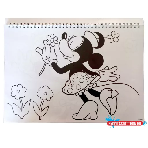 Disney Minnie Nomadic Spirit A/4 spirál vázlatfüzet 40 lapos matricával