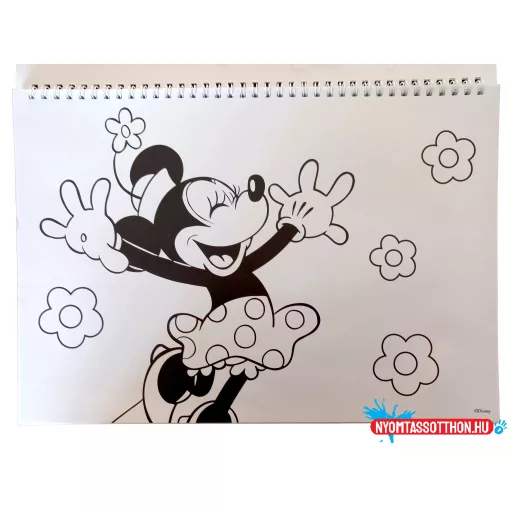 Disney Minnie Nomadic Spirit A/4 spirál vázlatfüzet 40 lapos matricával